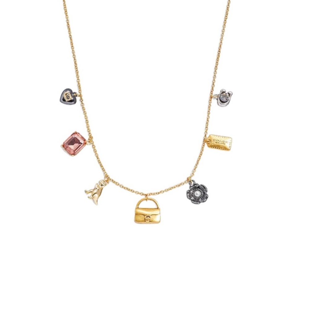 NWT Coach Gold and Black Charm Necklace